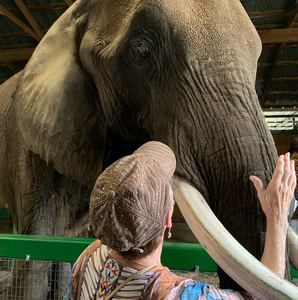 Meet your Posher, Pat